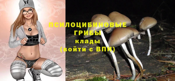 экстази Алексин