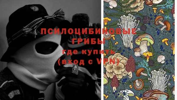 ешки Алексеевка