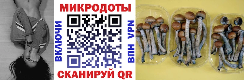 хочу наркоту  Пойковский  Псилоцибиновые грибы мухоморы 